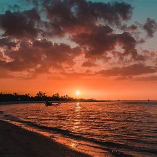 Spectacular sunset over Fort Myers Beach with silhouettes of palm trees