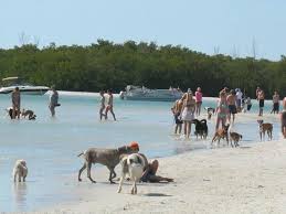 Beautiful Southwest Florida beaches and coastal scenery